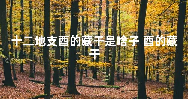 十二地支酉的藏干是啥子 酉的藏干